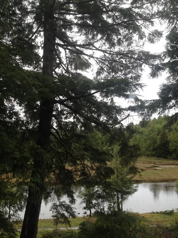 Hyphocus Inn Ucluelet Zewnętrze zdjęcie