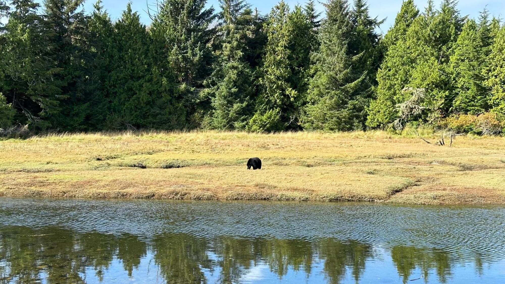 Hyphocus Inn Ucluelet Zewnętrze zdjęcie